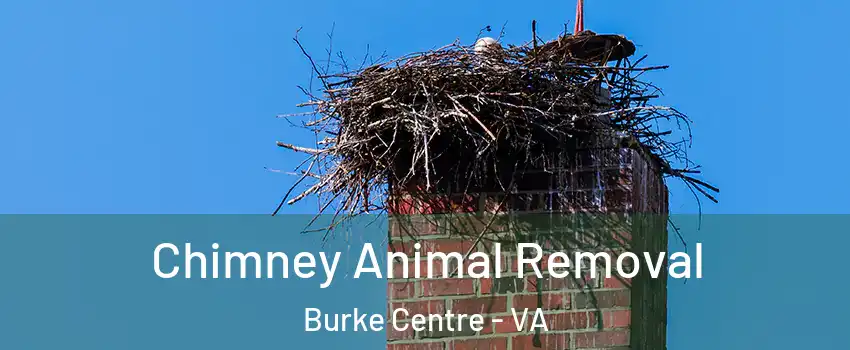  Chimney Animal Removal Burke Centre - VA