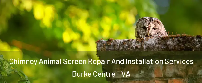  Chimney Animal Screen Repair And Installation Services Burke Centre - VA