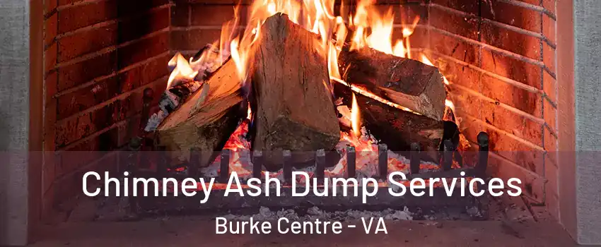  Chimney Ash Dump Services Burke Centre - VA