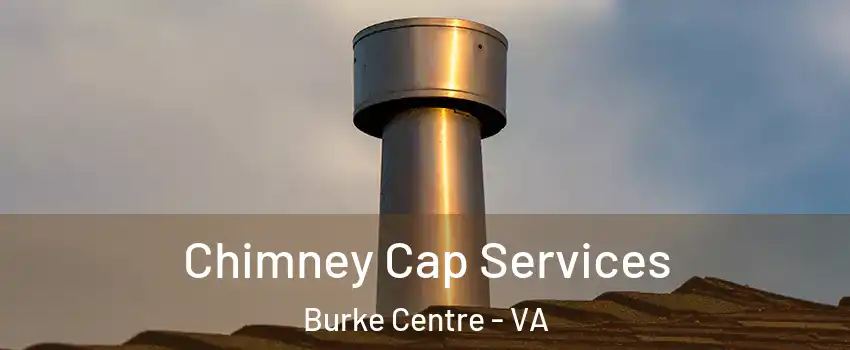 Chimney Cap Services Burke Centre - VA