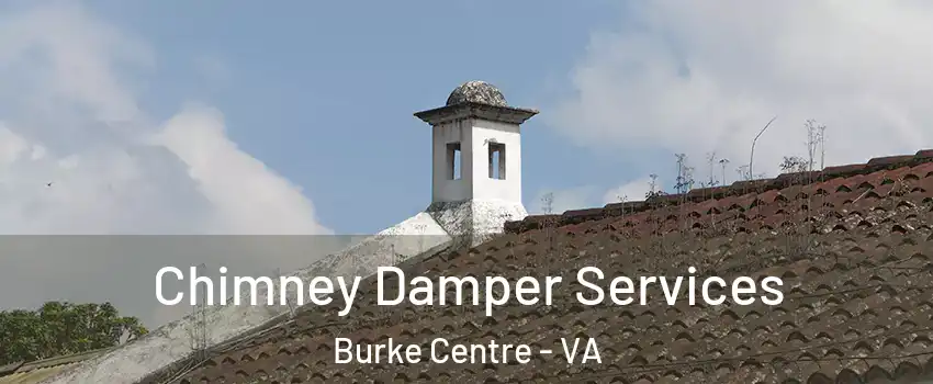  Chimney Damper Services Burke Centre - VA