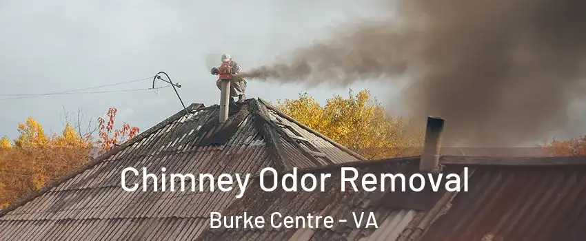  Chimney Odor Removal Burke Centre - VA
