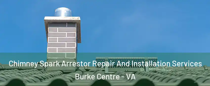  Chimney Spark Arrestor Repair And Installation Services Burke Centre - VA