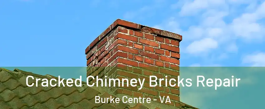  Cracked Chimney Bricks Repair Burke Centre - VA