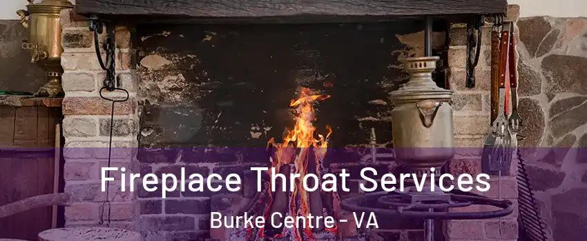  Fireplace Throat Services Burke Centre - VA