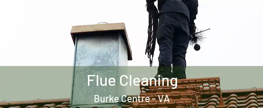  Flue Cleaning Burke Centre - VA