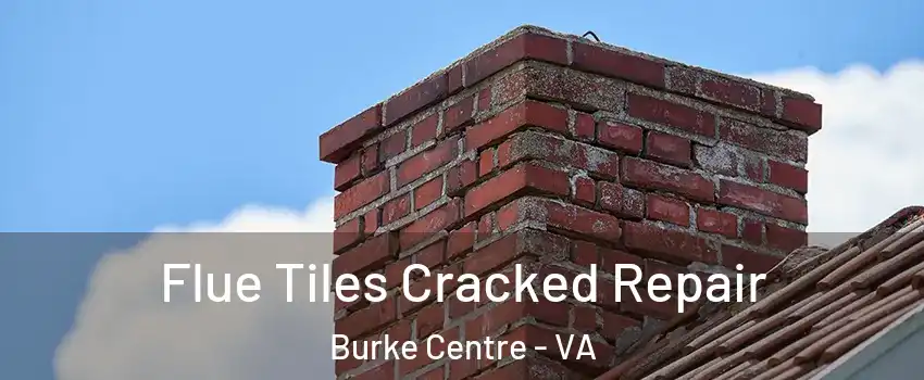  Flue Tiles Cracked Repair Burke Centre - VA