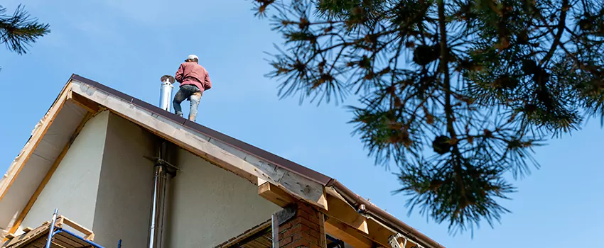 Birds Removal Contractors from Chimney in Burke Centre, VA