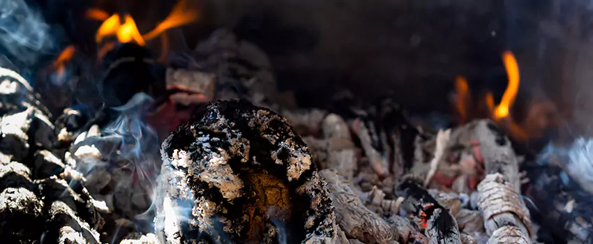 Creosote Removal Experts in Burke Centre, VA