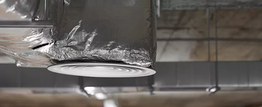 Signs of Dust Accumulation in Vents in Burke Centre, VA