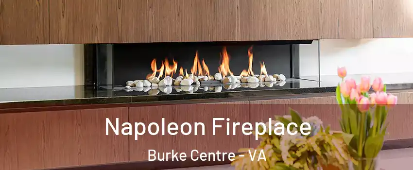  Napoleon Fireplace Burke Centre - VA